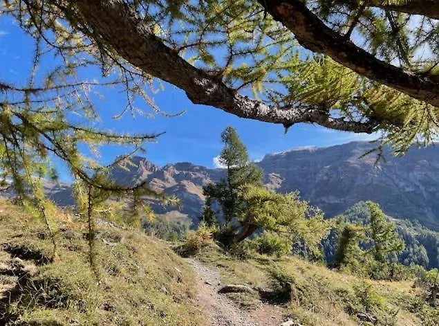 Appartamento Marmotta 13