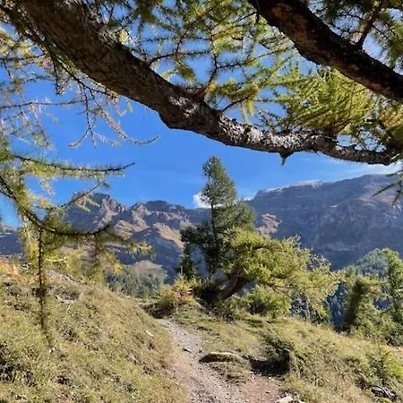 Apartmán Marmotta 13